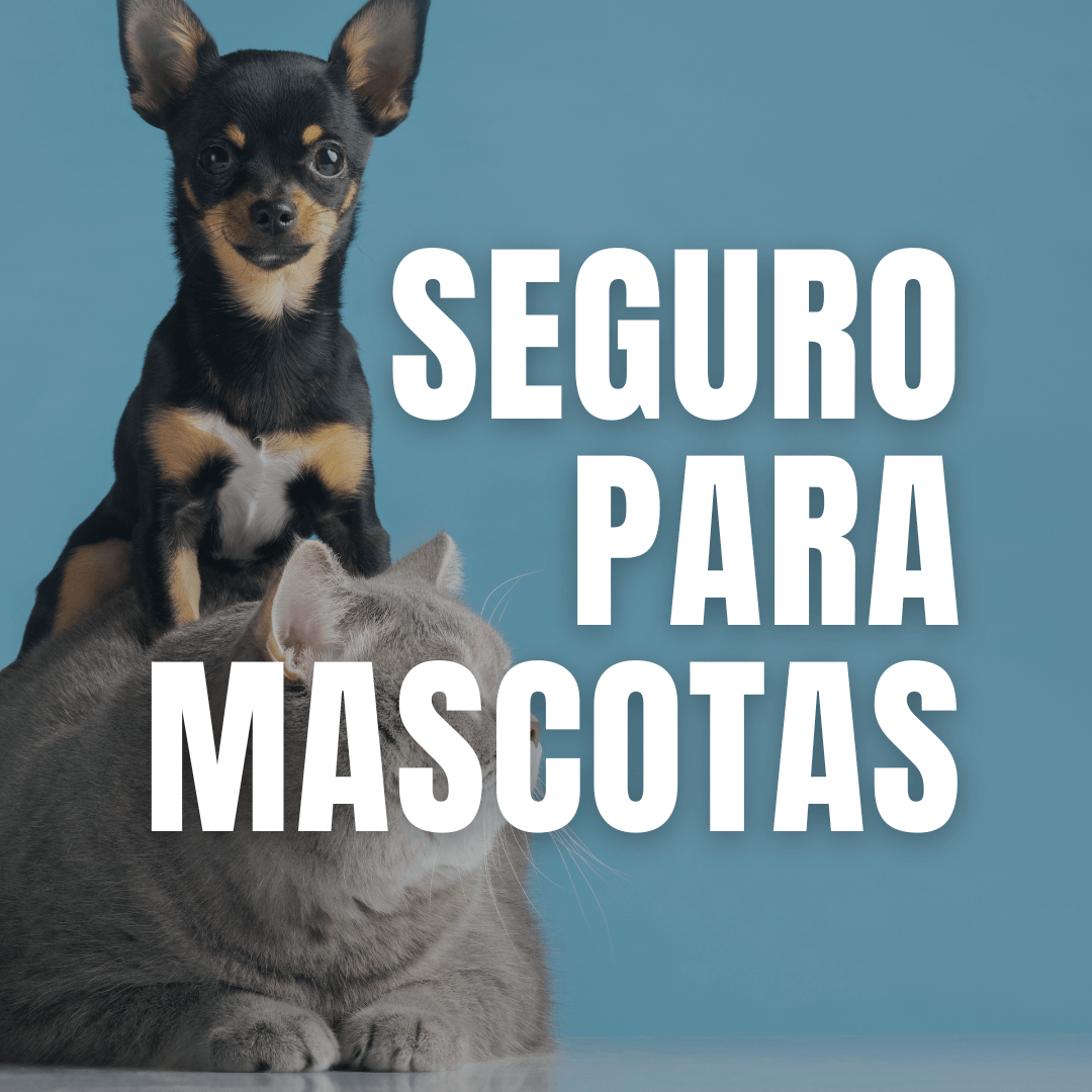 Seguro-para-Mascotas-caser